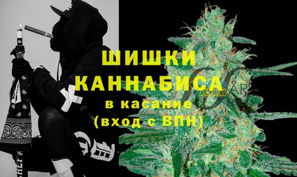 прущие крисы Инта