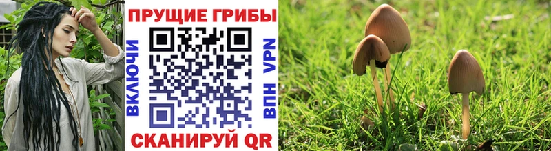 Псилоцибиновые грибы ЛСД  Купить закладки  Ивантеевка 